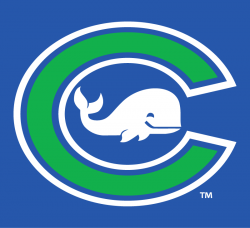 Connecticut Whale Alternate Logo - National Womens Hockey ...
