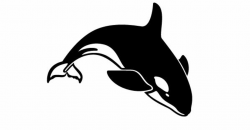 Pin on Orca