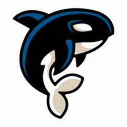 Orca Free Vector Art - (1,007 Free Downloads)