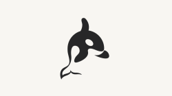 ORCA | Skillshare Projects
