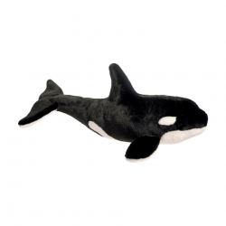 Balena Orca Whale