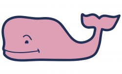 Meaning Vineyard Vines logo and symbol | history and evolution