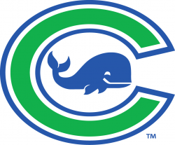 Connecticut Whale Primary Logo - National Womens Hockey ...