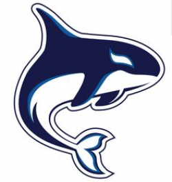 9 Best Whales Logos images in 2019 | Whale logo, Sports team ...