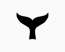 Whale Tail Designed by Matt8 | BrandCrowd