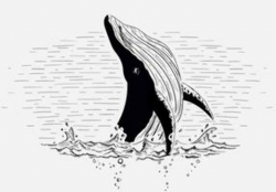 Whale Free Vector Art - (5,965 Free Downloads)