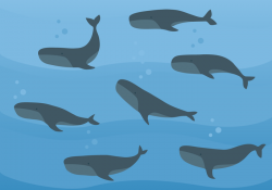 Whale Free Vector Art - (5,965 Free Downloads)