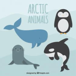 Whale Vectors, Photos and PSD files | Free Download