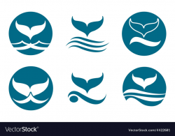 Whale Tail Logo