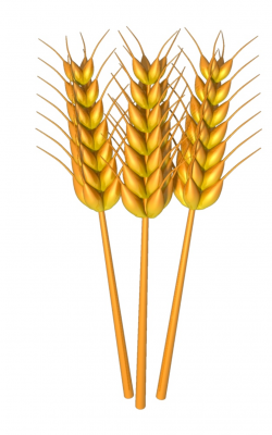 Free Wheat Cliparts, Download Free Clip Art, Free Clip Art on ...