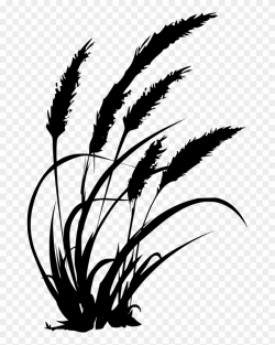 Image Free Svg Farm Wheat Farming - Agriculture Clipart (#179339 ...