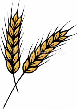 Grain Clipart | Free download best Grain Clipart on ClipArtMag.com