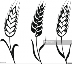 Free Black And White Wheat Clipart | Free Images at Clker.com ...