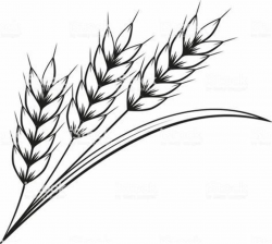 Image result for black and white wheat bundle clipart | Craft Ideas ...