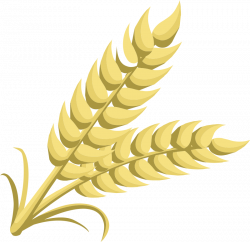 Collection of free Wheat vector cartoon. Download on UI Ex