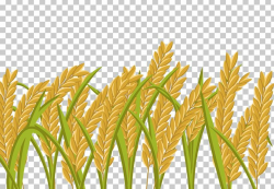Rice Crop Wheat Paddy Field PNG, Clipart, Agriculture, Autumn ...