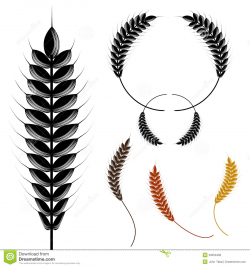 Collection of free Curved clipart wheat. Download on UI Ex