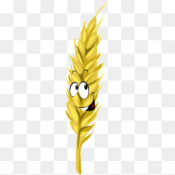 Cute Wheat PNG Images | Vectors and PSD Files | Free Download on Pngtree