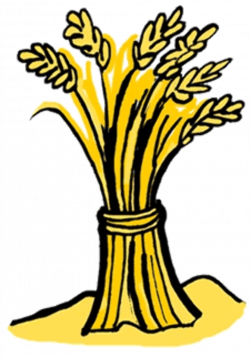 cartoon sheaves of wheat clipart | Wheat Clip Art | Bible Crafts Old ...