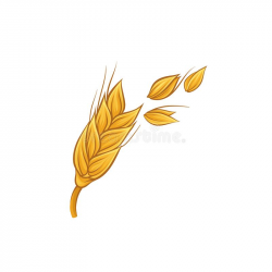 Collection of free Grained clipart golden wheat. Download on UI Ex