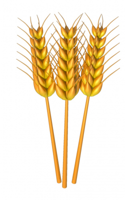 Free Grain Cliparts, Download Free Clip Art, Free Clip Art on ...