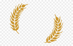 Grains Clipart Wheat Stalk - Brew Kettle Wheat Beer - Png Download ...