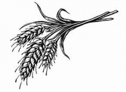 Image result for black and white wheat bundle clipart | fixing the ...