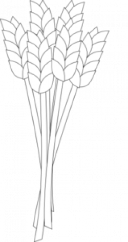 Wheat Black And White Clip Art at Clker.com - vector clip art online ...