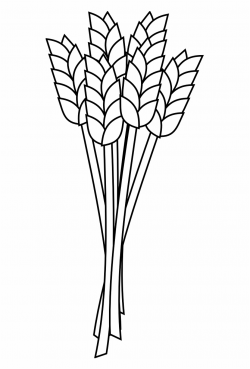 Wheat Grain Agriculture Crop Png Image - Wheat Clipart Black And ...