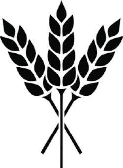Image result for grain clipart | Scarred for Life.... | Wheat vector ...