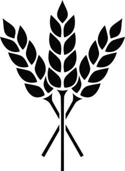 Free Wheat Head Cliparts, Download Free Clip Art, Free Clip Art on ...