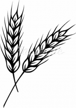 Pin by ChessPawn319 on Inokraina | Wheat tattoo, Wheat drawing, Drawings