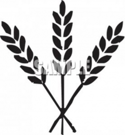 Wheat Clipart | Free download best Wheat Clipart on ClipArtMag.com