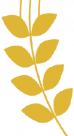 Download Wheat Clipart Trigo PNG Image with No Background - PNGkey.com