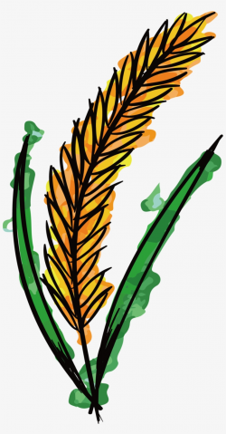 Watercolor Painting Wheat Clip Art - Trigo Acuarela Transparent PNG ...