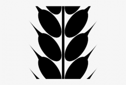 Barley Clipart Wheat Stalk - Ramo De Trigo Desenho PNG Image ...