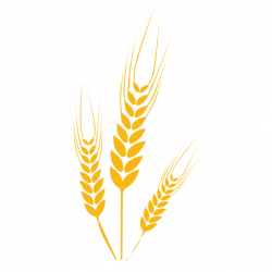 Collection of free Wheat transparent logo. Download on UI Ex