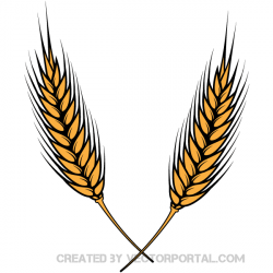 Wheat Vector Image | Download Free Vector Art | Free-Vectors