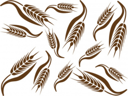 Wheat free vector download (325 Free vector) for commercial use ...