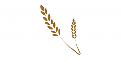 Free Wheat Vector, Download Free Clip Art, Free Clip Art on Clipart ...