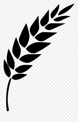 Wheat Vector - Black And White Wheat Stalk Clipart (#847632 ...
