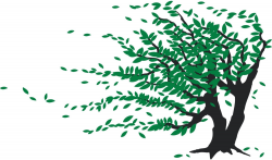 Tree Blowing In The Wind Clipart - Clip Art Library