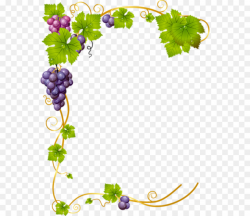Green Leaves Border clipart - Wine, Grape, Illustration ...