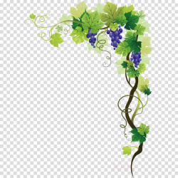 Green Leaves Border clipart - Wine, Grape, Illustration ...