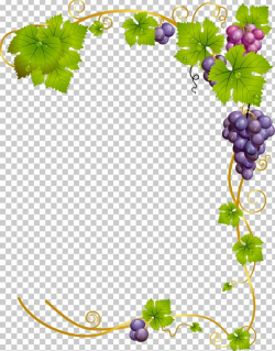 Common Grape Vine Wine PNG, Clipart, Border Frames, Branch ...