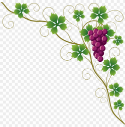 common grape vine grape leaves wine clip art - grape vine ...