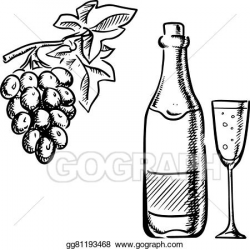 Vector Art - Wine bottle, glass and grapes sketch. Clipart ...