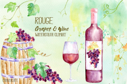 Watercolor Rouge Grapes and Wine ~ Illustrations ~ Creative ...
