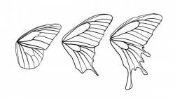 Free Butterfly Wings Cliparts, Download Free Clip Art, Free ...