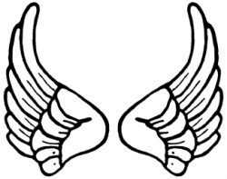 Cartoon Angel Wings Free Download Clip Art - Clip Art Library